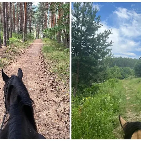 Mountain Delight, 아파트