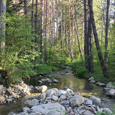 Mountain Delight, Банско