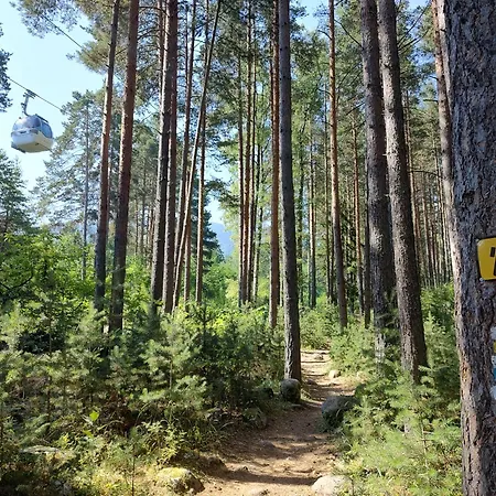 Mountain Delight, Апартамент *