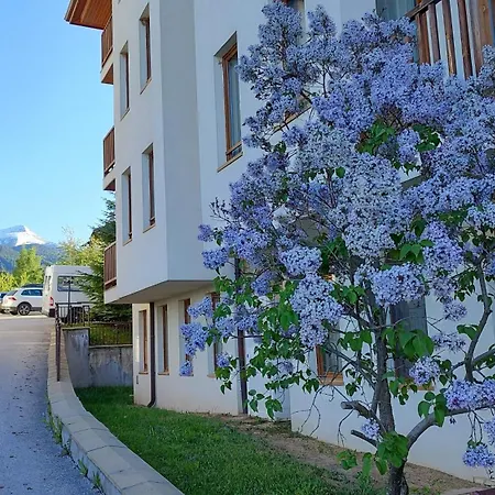 Apartman Mountain Delight,