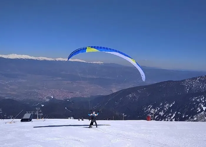 Mountain Delight, Daire