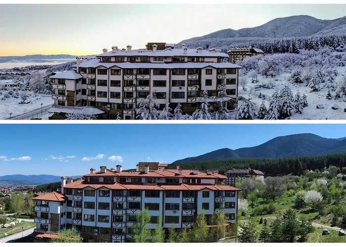 Daire Mountain Delight,