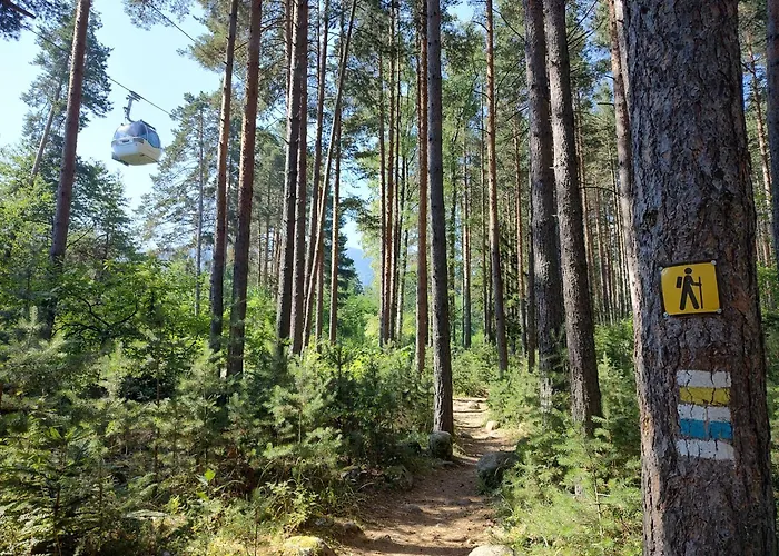 Mountain Delight, Daire *