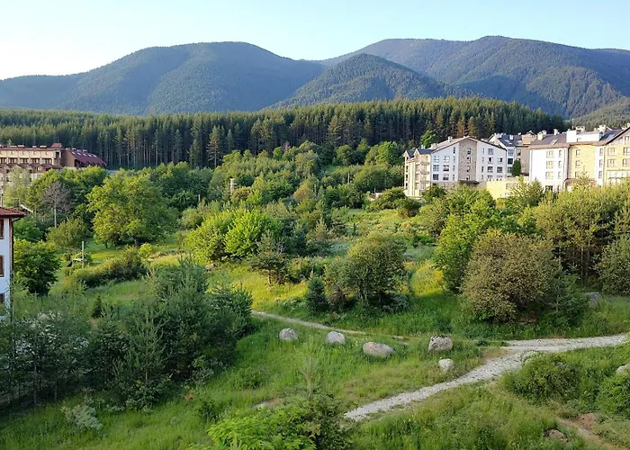 Daire Mountain Delight, *